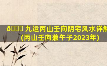 🐋 九运丙山壬向阴宅风水详解(丙山壬向兼午子2023年)